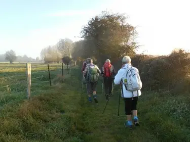 Groupe pratiquant la marche nordique dans la campagne