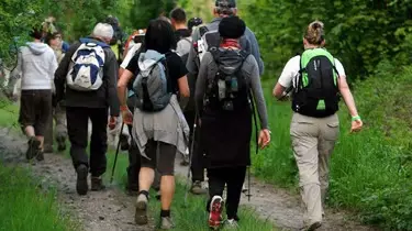 Groupe de randonneurs avançant sur un sentier boisé